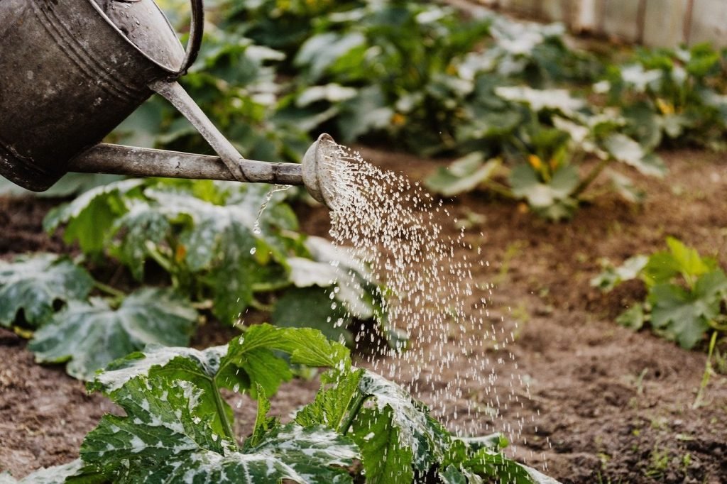 Tuin onderhoudsvrij